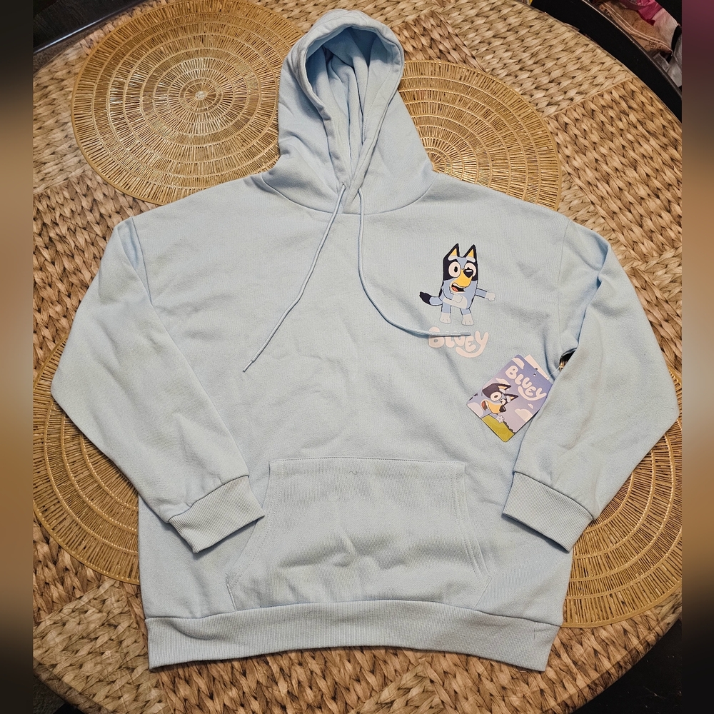 Women's Light Blue Sweater